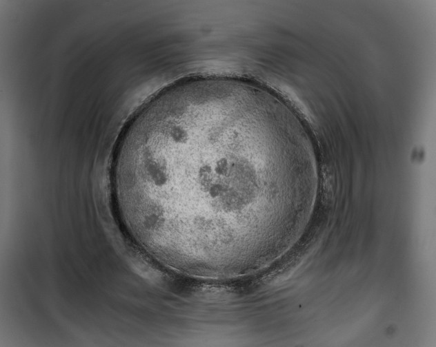 X0000101390487200807141136