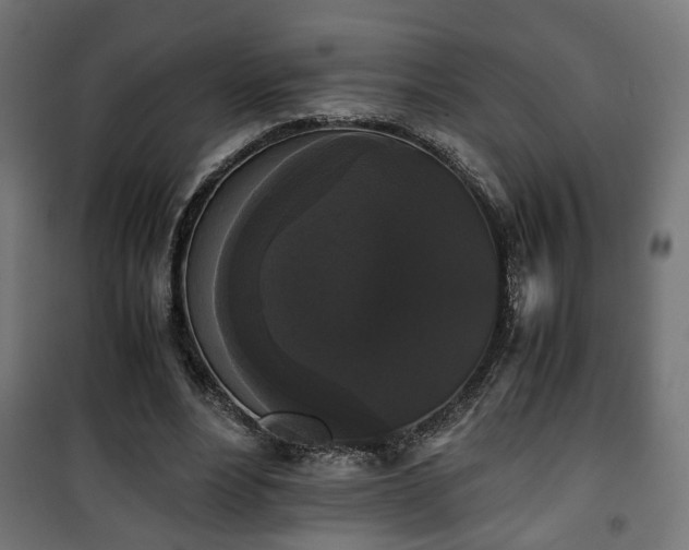 X0000101390488200807141136