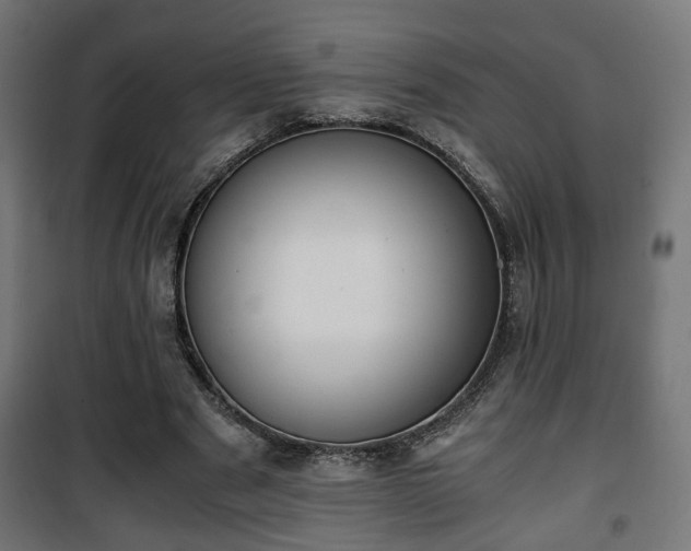 X0000101390489200807141136