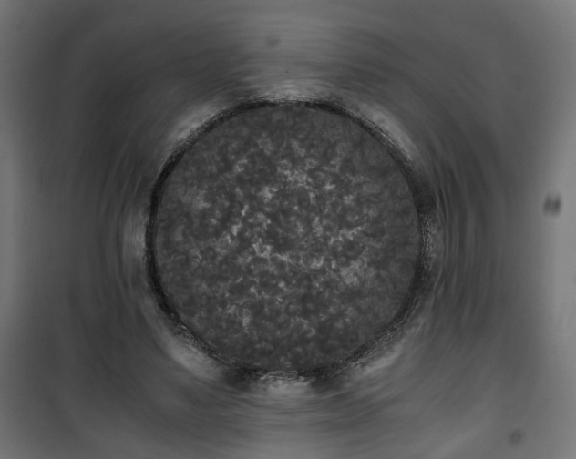 X0000101390491200807141136