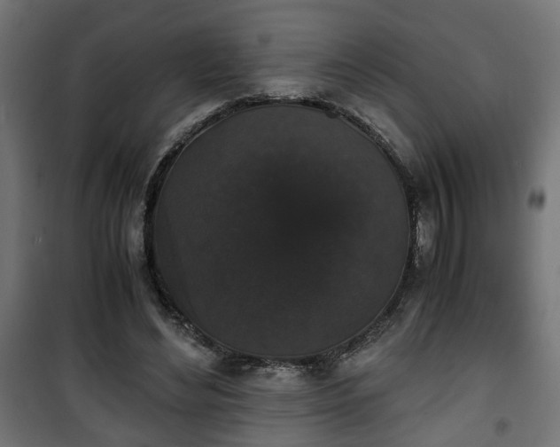 X0000101390492200807141136