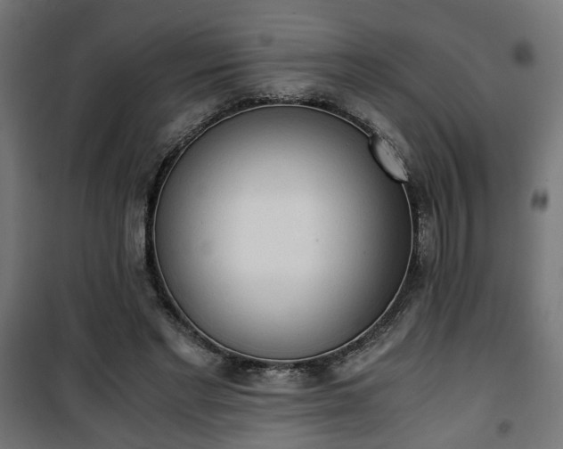 X0000101390493200807141136