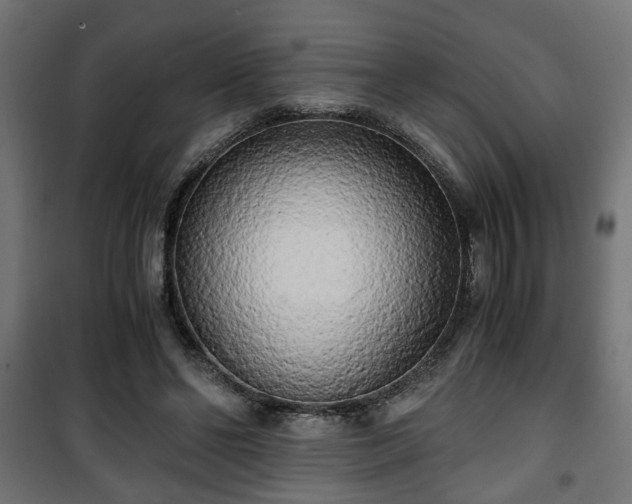 X0000101390494200807141136