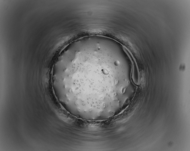 X0000101390495200807141136