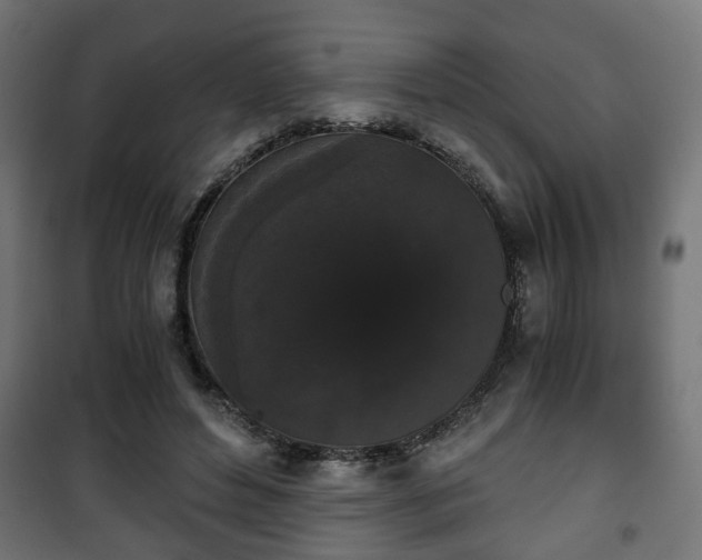 X0000101390496200807141136