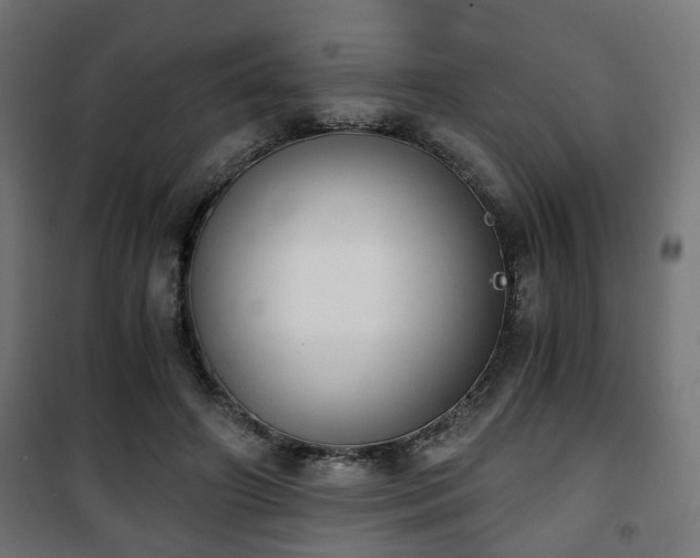 X0000101390498200807141136