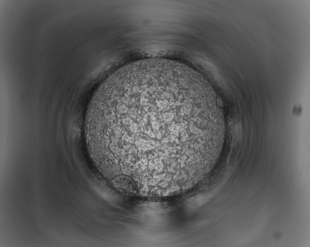 X0000101390499200807141136