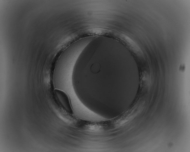 X0000101390500200807141136