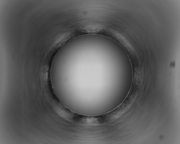 X0000101390501200807141136