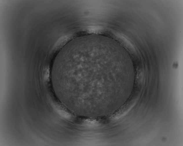 X0000101390502200807141136