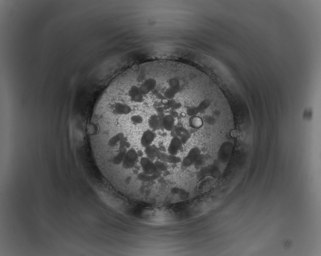 X0000101390503200807141136