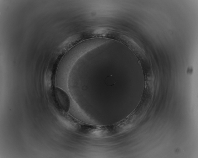 X0000101390504200807141136