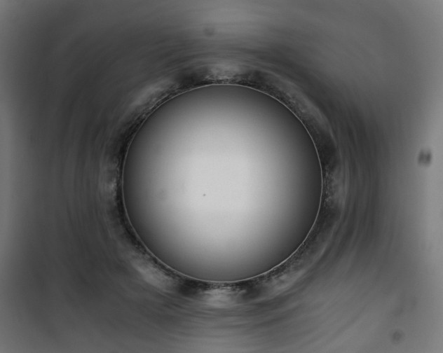 X0000101390505200807141136