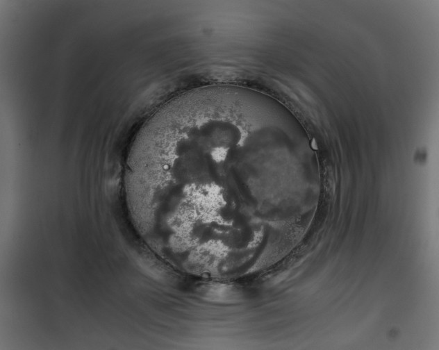 X0000101390507200807141136