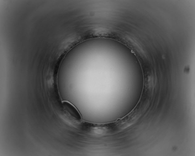 X0000101390508200807141136