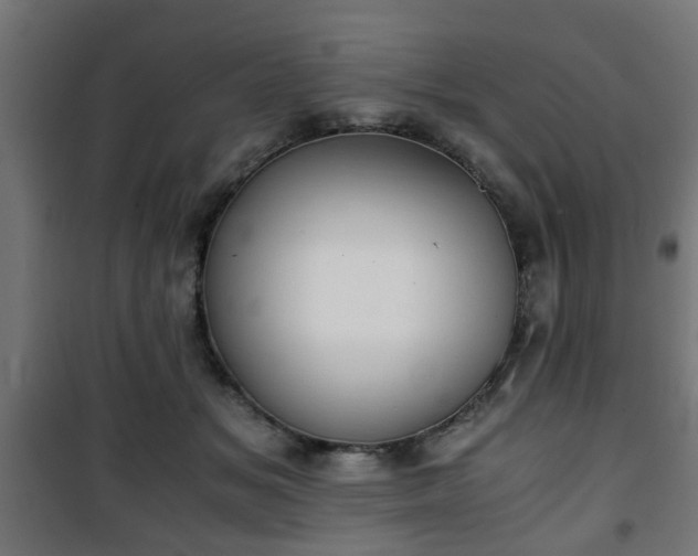 X0000101390509200807141136