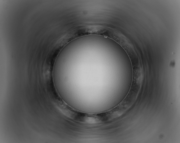 X0000101390510200807141136