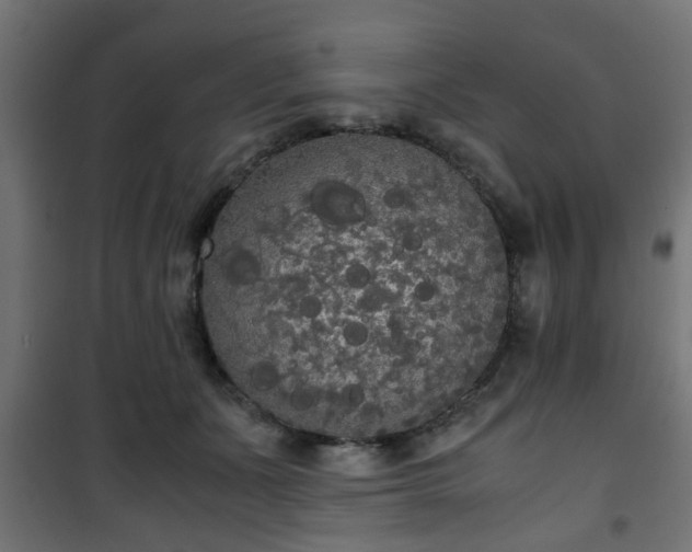 X0000101390511200807141136