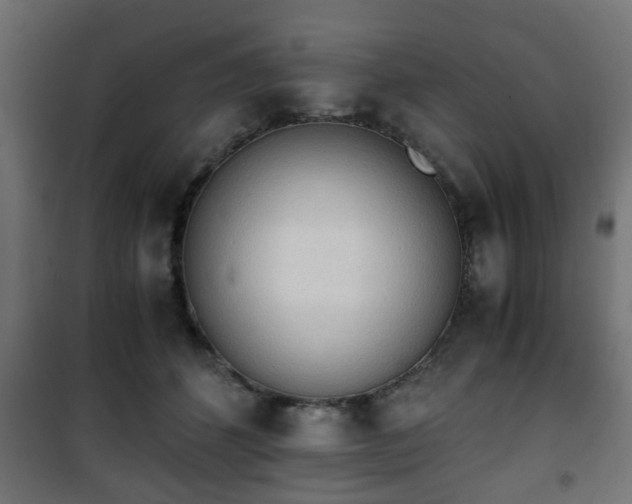 X0000101390512200807141136