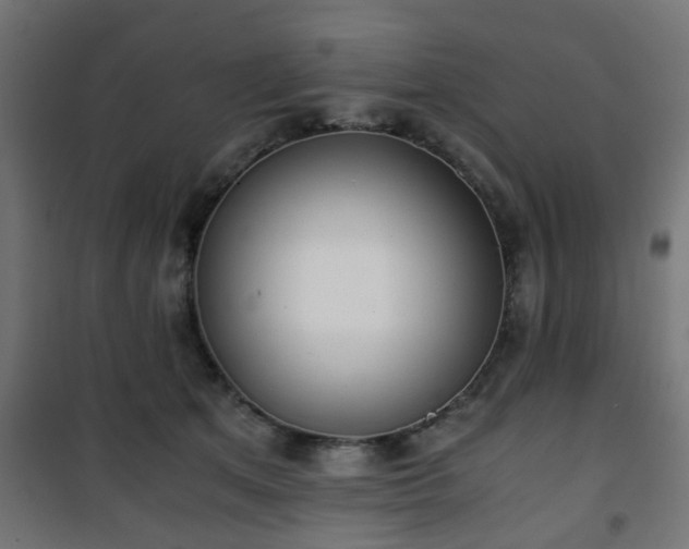 X0000101390513200807141136