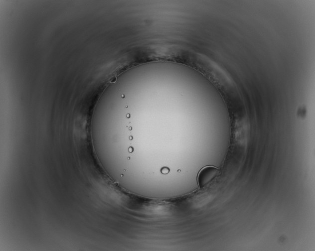 X0000101390514200807141136