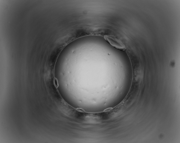 X0000101390515200807141136