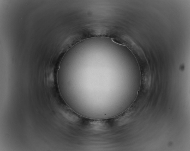 X0000101390516200807141136