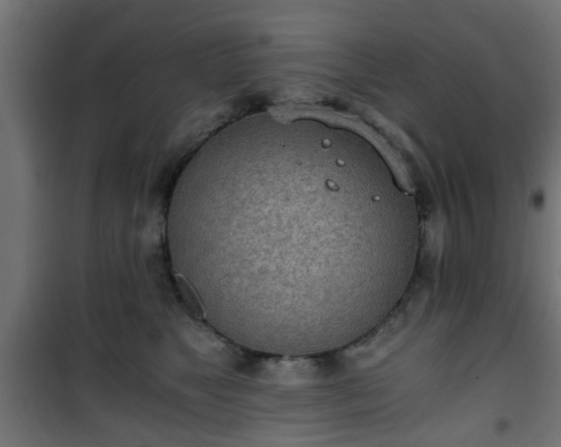 X0000101390517200807141136