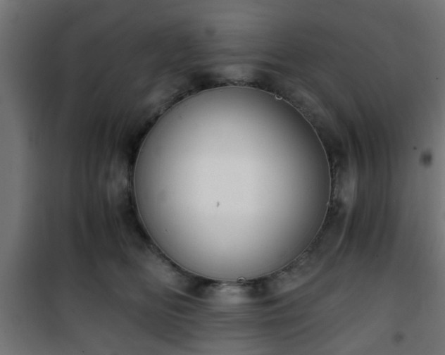 X0000101390518200807141136