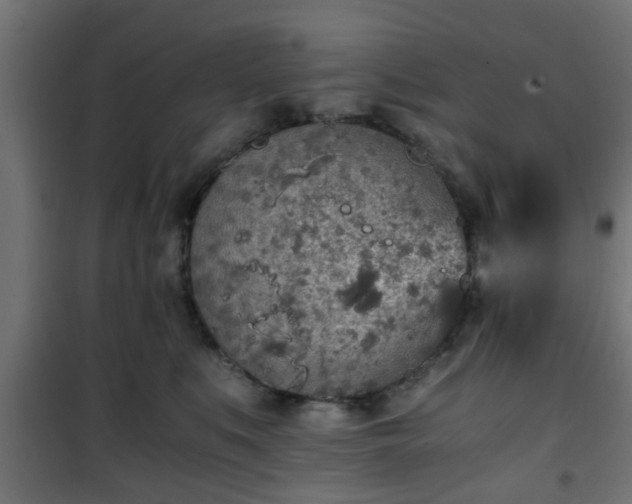 X0000101390519200807141136