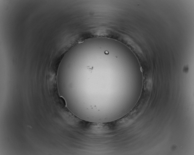 X0000101390521200807141136