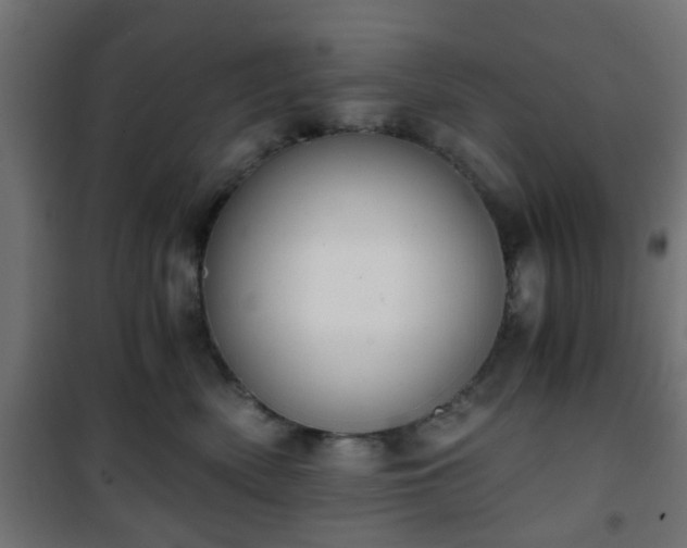 X0000101390522200807141136