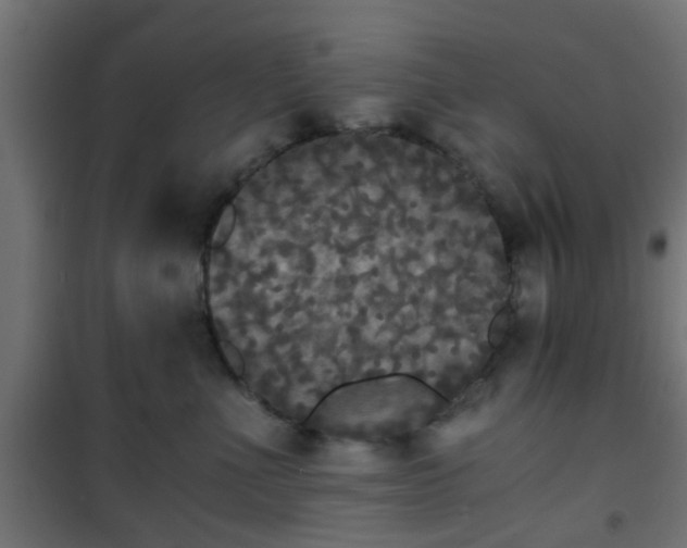 X0000101390523200807141136