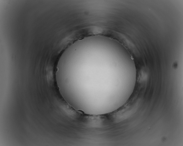 X0000101390524200807141136