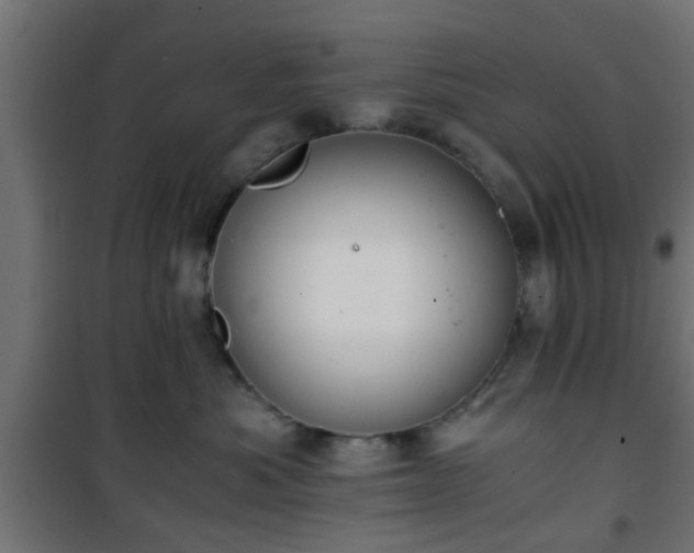 X0000101390525200807141136