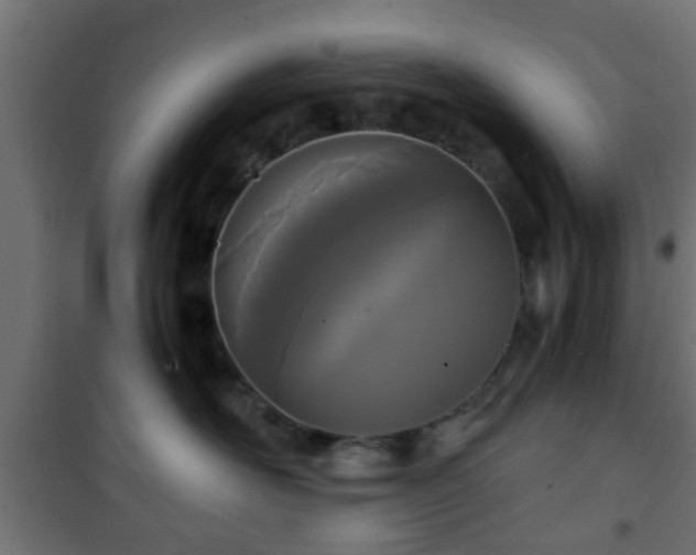 X0000101390526200807141136