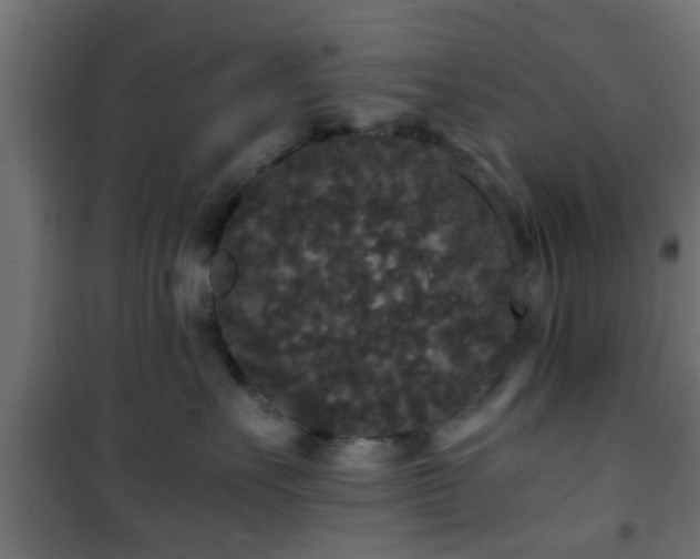 X0000101390527200807141136