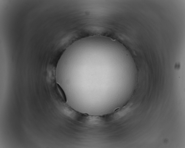 X0000101390528200807141136