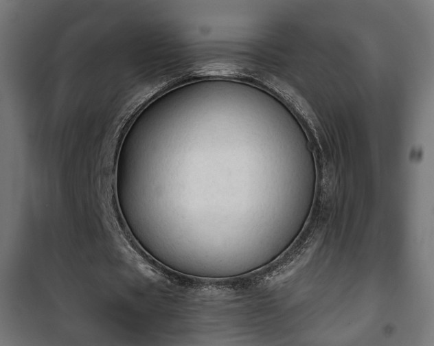 X0000101390529200807141135