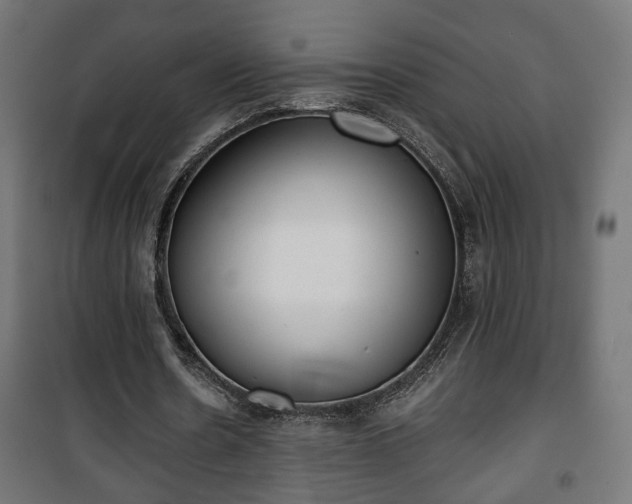 X0000101390530200807141135