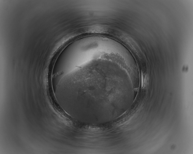 X0000101390531200807141135