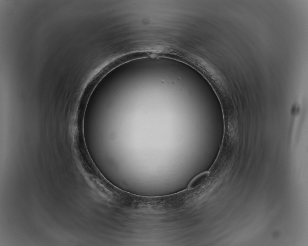 X0000101390532200807141135