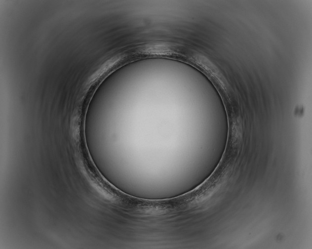 X0000101390533200807141135