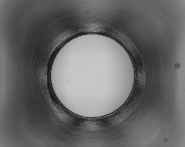 X0000101390534200807141135