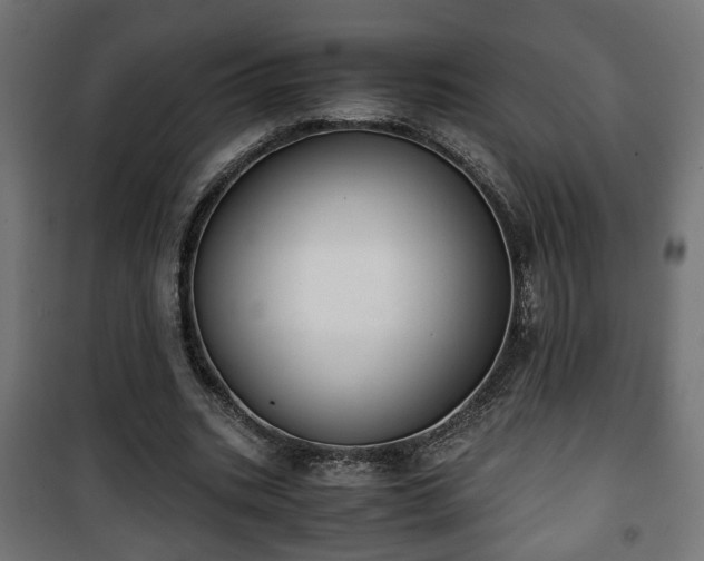 X0000101390535200807141135