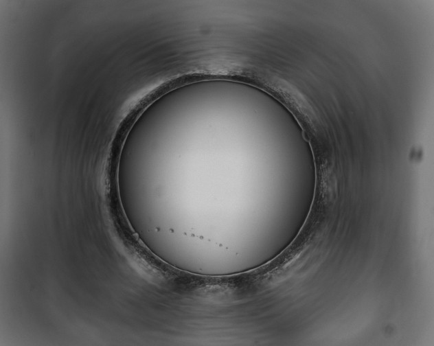 X0000101390536200807141135