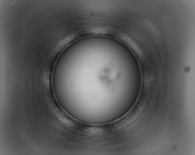 X0000101390537200807141135