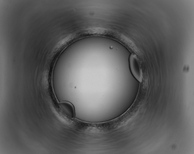 X0000101390538200807141135