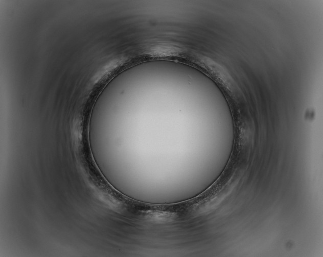 X0000101390539200807141135