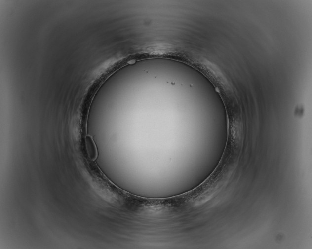 X0000101390540200807141135